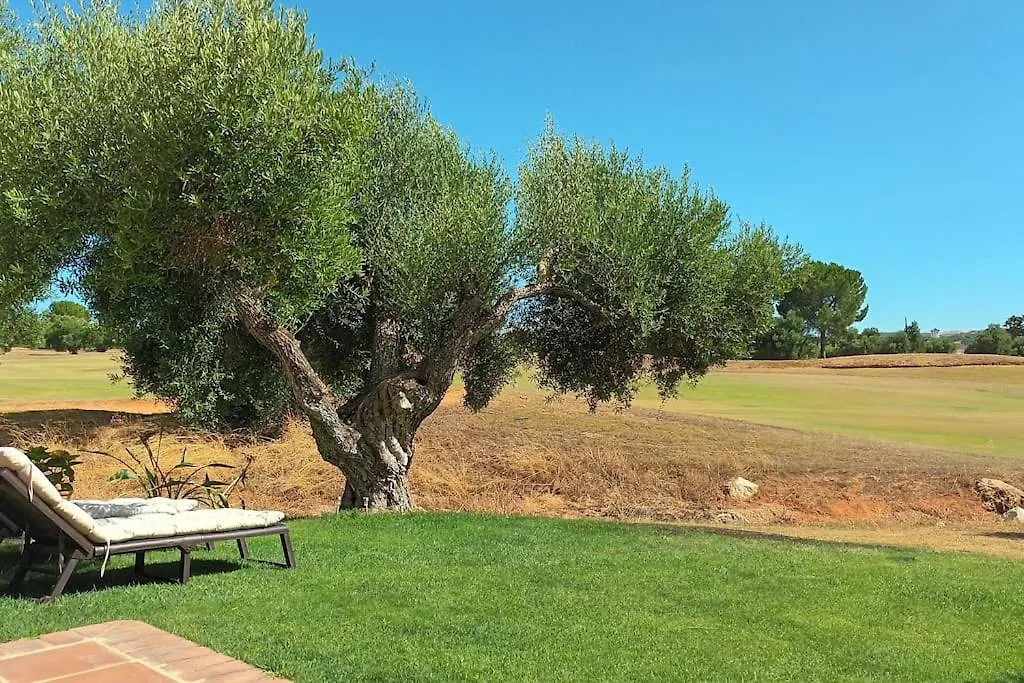 Holiday home Casa Los Olivos Arcos de la Frontera