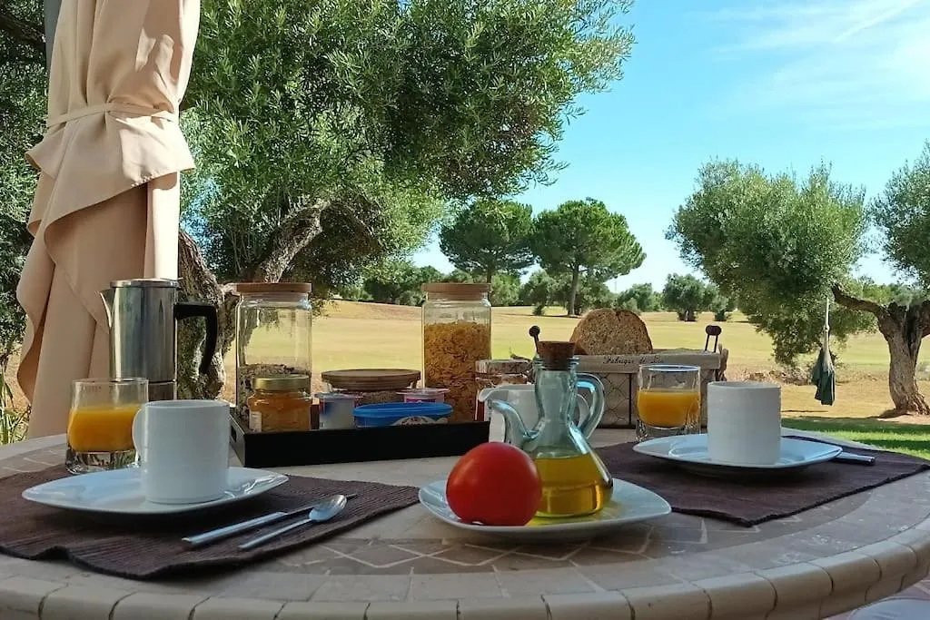 Casa Los Olivos Arcos de la Frontera